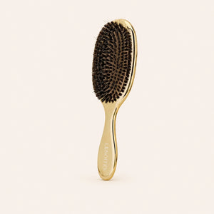 Wild Boar Hair Brush with Cleaning Tool