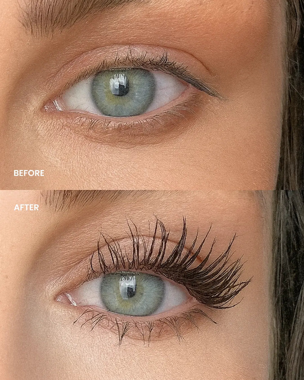 Lenoites Eyelash Activating Serum Mascara in color Black